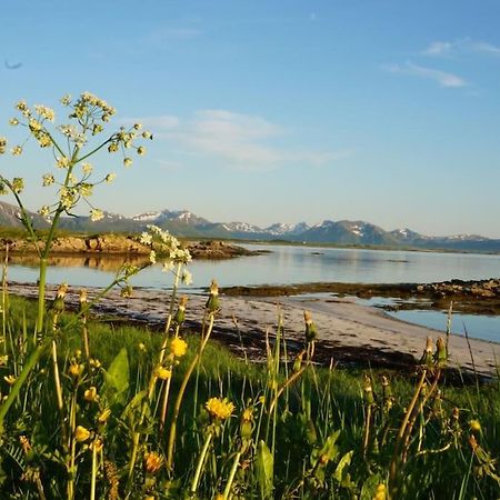 Sjarmerende Hus Med Orkesterplass Til Hav Og Fjell Stave Luaran gambar